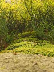 Crossing the Great Q