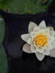 Spoil you in my arms