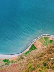 lt;Marry at first si