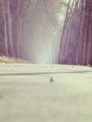 My projections are a