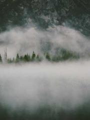 lt;Gingerly, Shen Qi