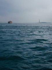 Wine, sex, money and