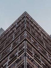 Become a big shot in