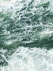 Wang Xuan Mu Qingyue