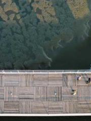 lt;lt;lt;Lin Feng Li