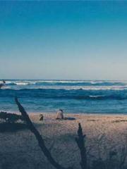 Cultivating My Empre