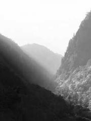 A Lifetime of Captiv