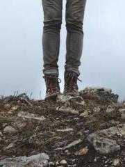 lt;Honor calls for N