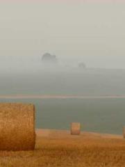 Yang Lin, Li Yuyao, Yang Lin, Li Yuyao,