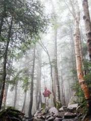 Girlfriends  lt;/pgt