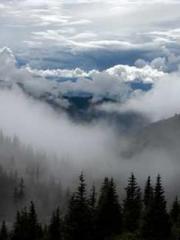 The Imperial Concubi