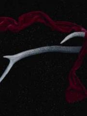 Jiang Mingzhu Zhou L