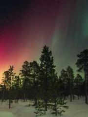 Mr. Gu, your wife is