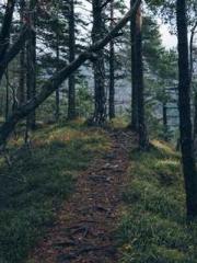 Fast Travel: The Vil